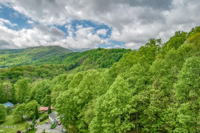 126 Shadow Mountain Road, Roan Mountain, TN 37687