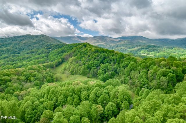 126 Shadow Mountain Road, Roan Mountain, TN 37687