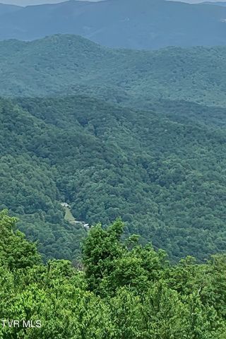 126 Shadow Mountain Road, Roan Mountain, TN 37687