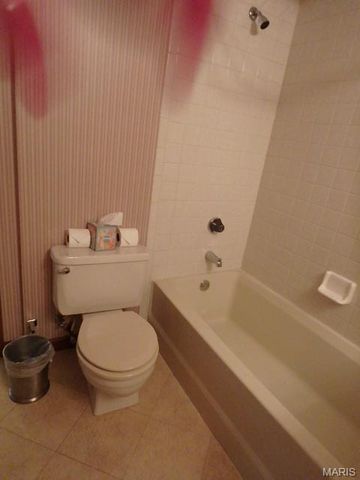 415 Shirley Ridge Drive 16, St Charles, MO 63304