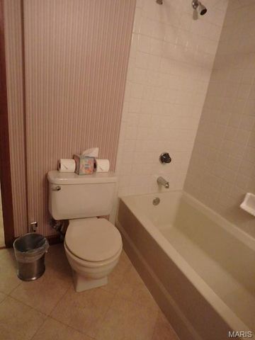415 Shirley Ridge Drive 16, St Charles, MO 63304