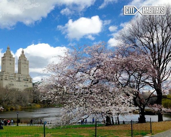 264 W 77th St Apt 2, New York City, NY 10024