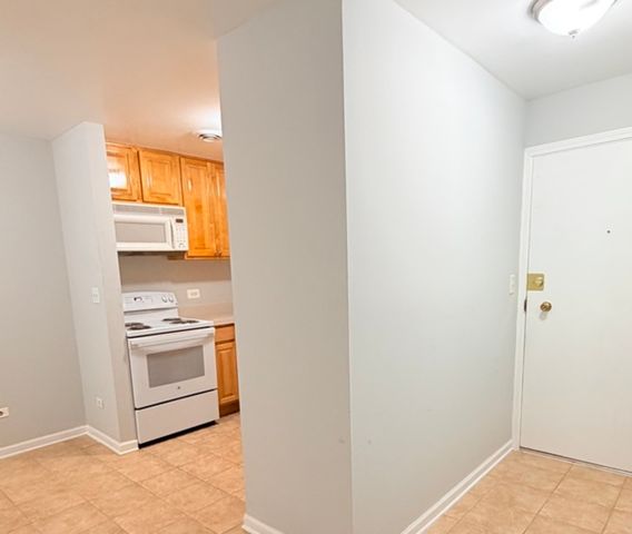 310 Lathrop Avenue 307, Forest Park, IL 60130