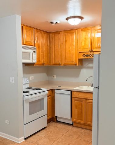 310 Lathrop Avenue 307, Forest Park, IL 60130