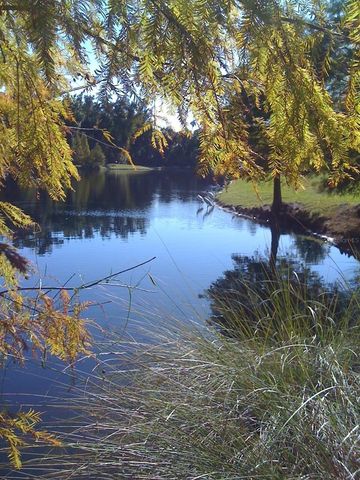 1231 WRIGHT CIR 308, Celebration, FL 34747