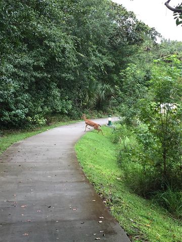 1231 WRIGHT CIR 308, Celebration, FL 34747