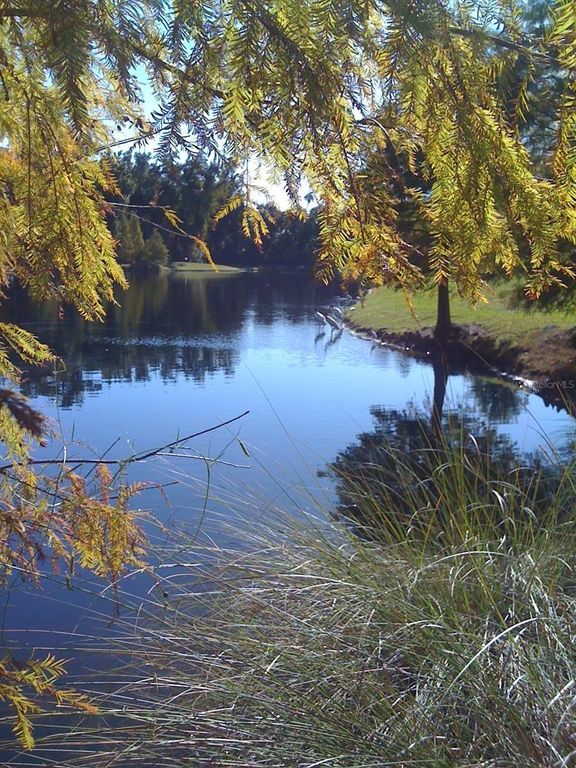 Image 48 of property listing at 1231 WRIGHT CIR 308, Celebration, FL 34747