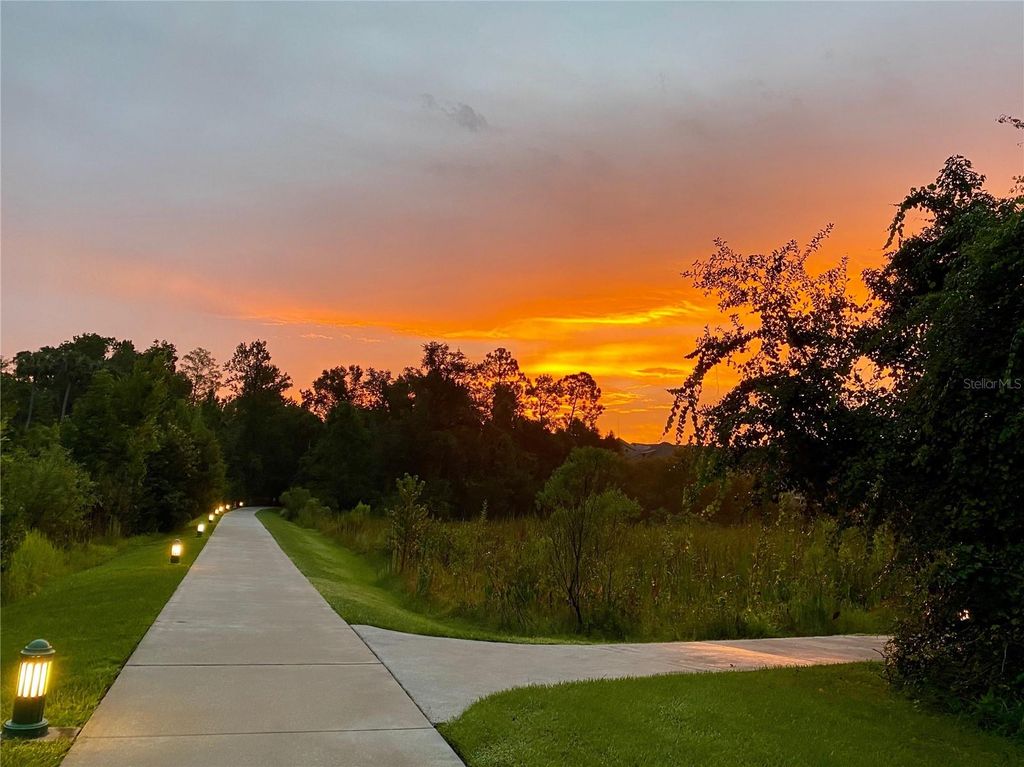 Image 50 of property listing at 1231 WRIGHT CIR 308, Celebration, FL 34747