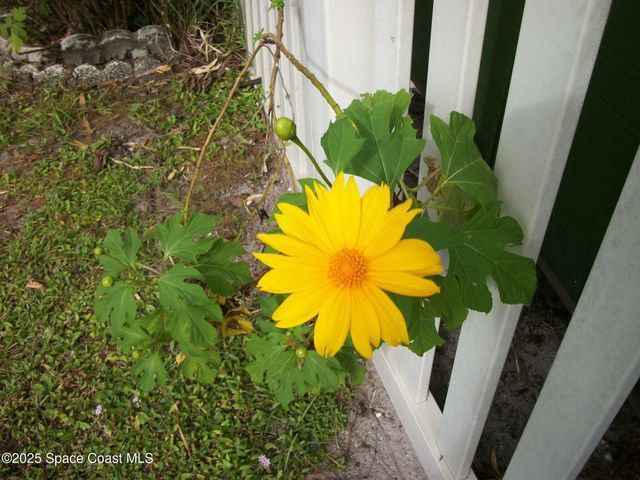 1972 Mango Street NE, Palm Bay, FL 32905