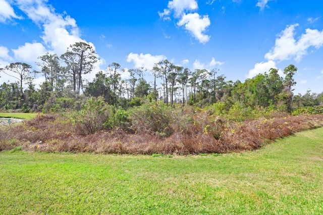 116 OCEAN BLUFF DRIVE, Kissimmee, FL 34759