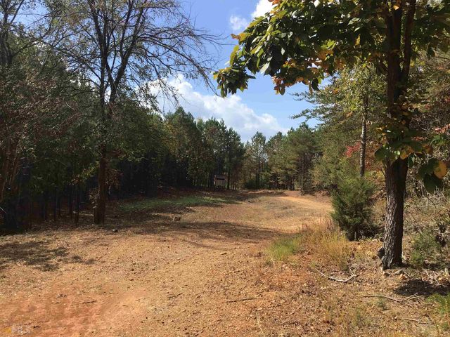 0 Snow Springs Road 9520-EAST, Adairsville, GA 30103