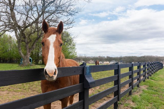 5009 Native Pony Trl, College Grove, TN 37046