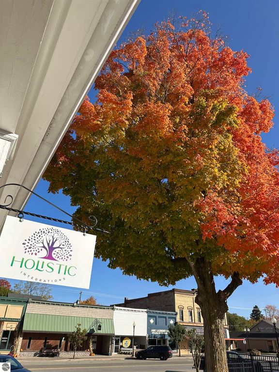 Image 29 of property listing at 323 W Wright Avenue, Shepherd, MI 48883