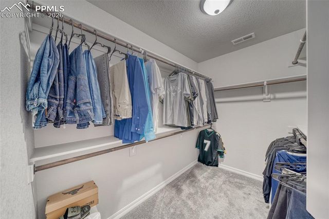 10043 Bison Valley Trail, Colorado Springs, CO 80908