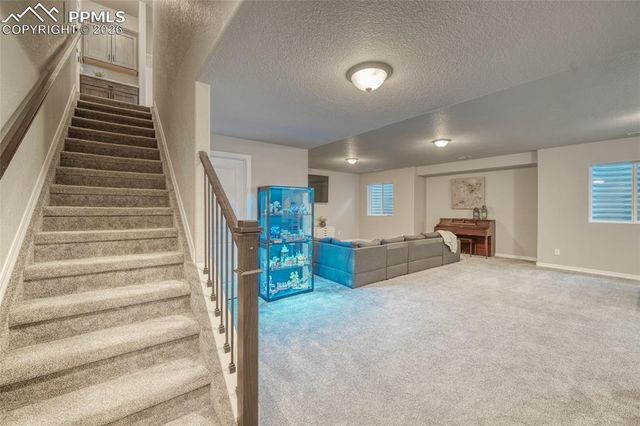 10043 Bison Valley Trail, Colorado Springs, CO 80908