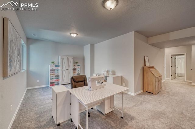 10043 Bison Valley Trail, Colorado Springs, CO 80908