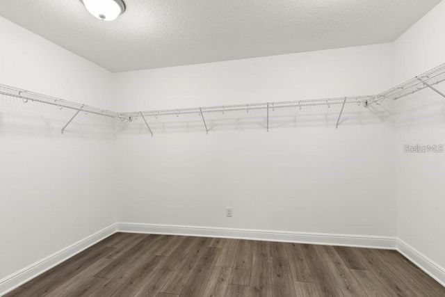 16010 SONOMA GROVE CIRCLE, Tampa, FL 33647