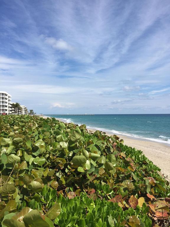 Image 26 of property listing at 3200 S Ocean Boulevard D101, Palm Beach, FL 33480