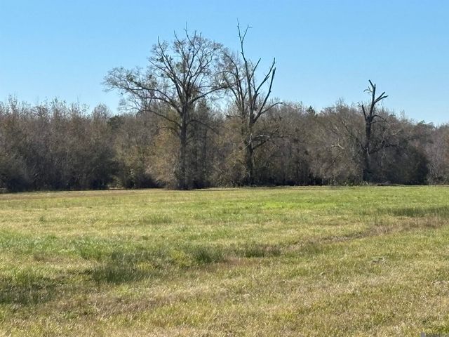 12176 La Hwy 431 Highway, St Amant, LA 70774