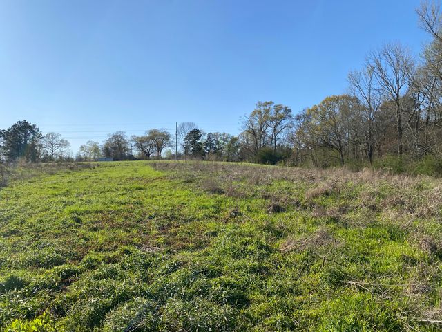 17.74 Acre Lower Myrick Rd., Laurel, MS 39443
