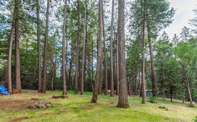 5342 Buttonwood Ct, Foresthill, CA 95631