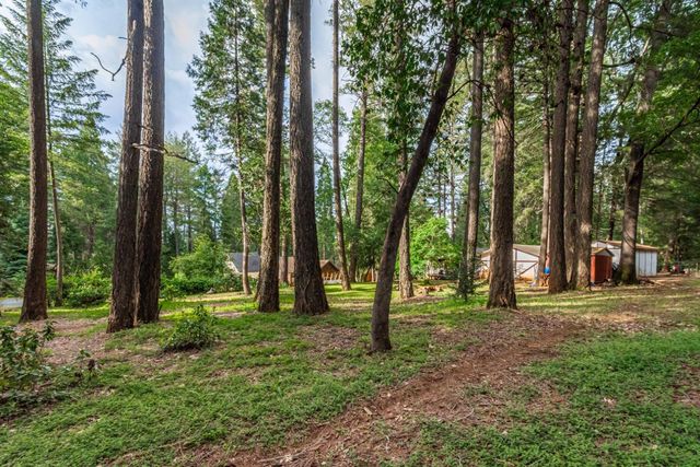 5342 Buttonwood Ct, Foresthill, CA 95631