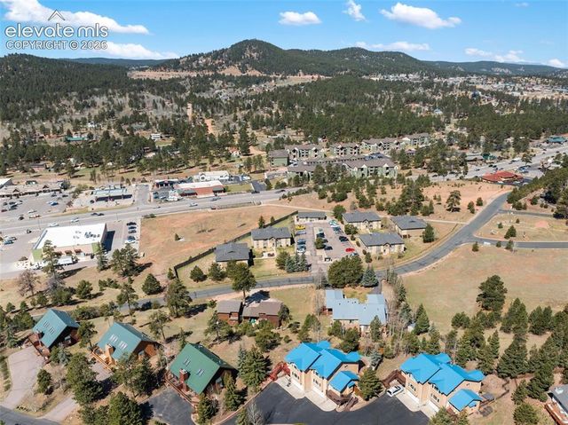 960 Ponderosa Way B, Woodland Park, CO 80863
