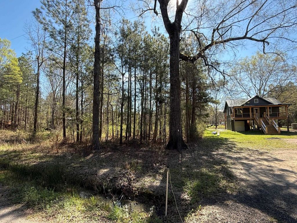 TBD Locust Tree Ct., Gresham, SC 29546 — exterior