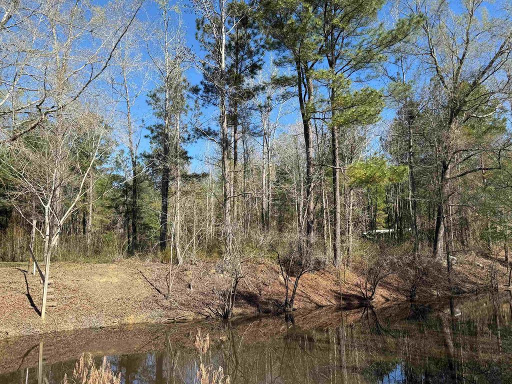 TBD Locust Tree Ct., Gresham, SC 29546 — photo 2