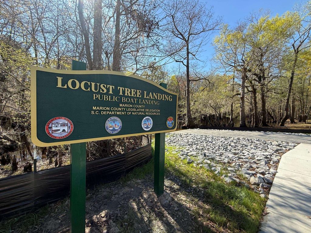 TBD Locust Tree Ct., Gresham, SC 29546 — photo 4