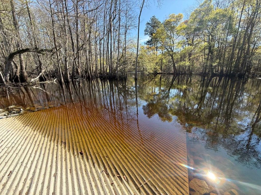 TBD Locust Tree Ct., Gresham, SC 29546 — photo 5