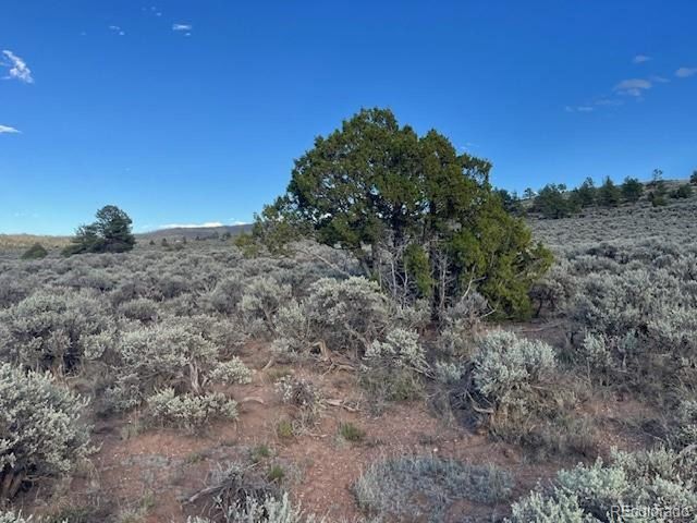 7669 Lewis Smith Rd, Fort Garland, CO 81133