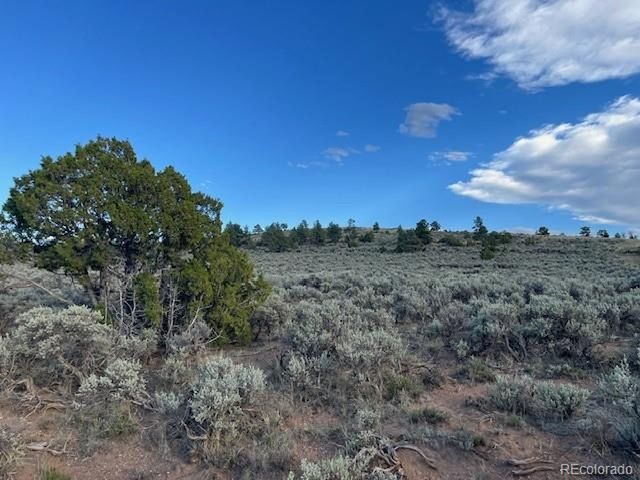 7669 Lewis Smith Rd, Fort Garland, CO 81133