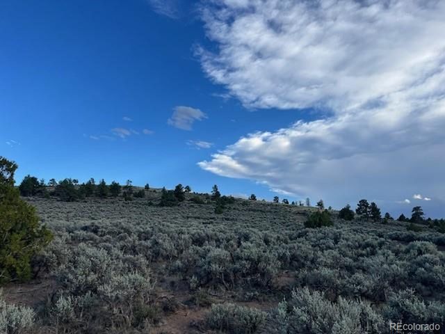 7669 Lewis Smith Rd, Fort Garland, CO 81133