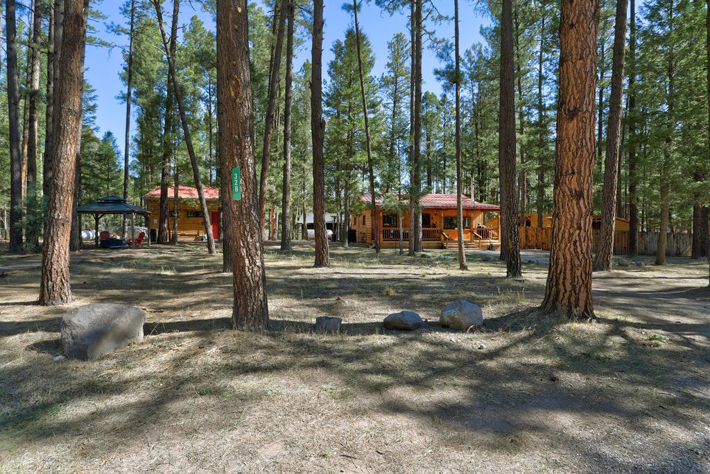 Image 1 of property listing at 328 Blue Spruce Drive, Jemez Springs, NM 87025