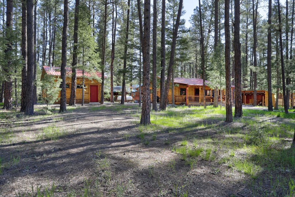 Image 24 of property listing at 328 Blue Spruce Drive, Jemez Springs, NM 87025