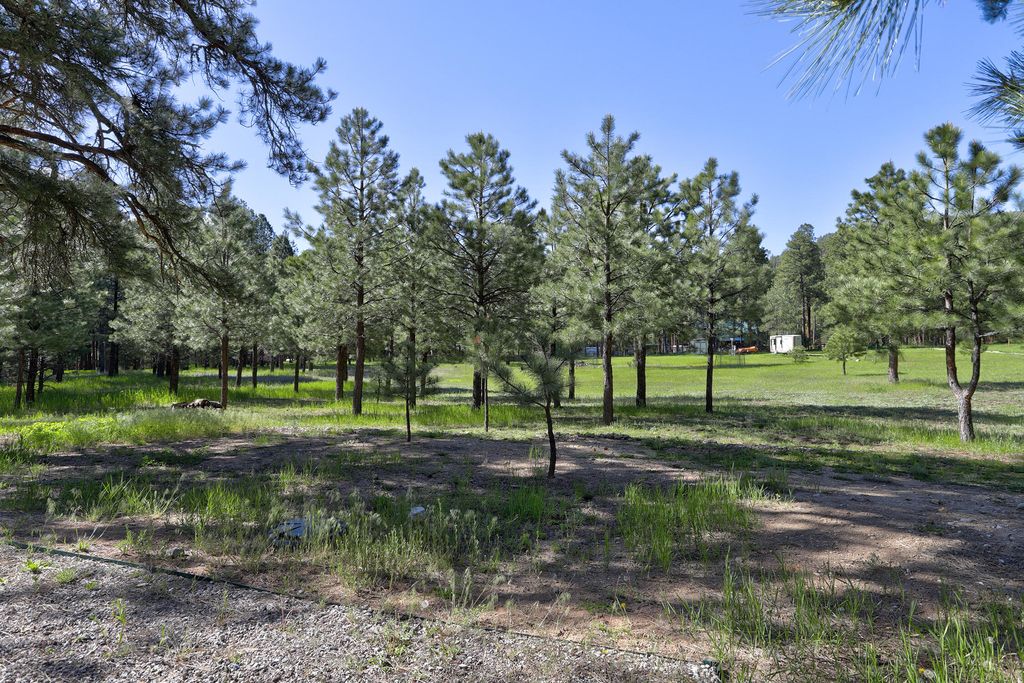 Image 38 of property listing at 328 Blue Spruce Drive, Jemez Springs, NM 87025