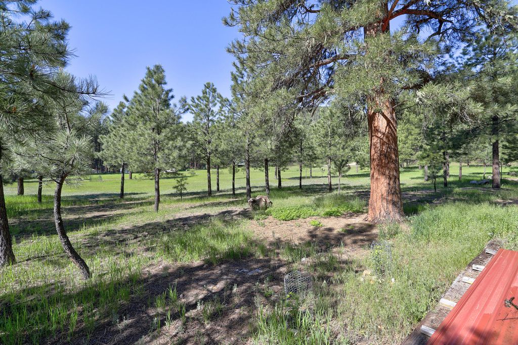 Image 43 of property listing at 328 Blue Spruce Drive, Jemez Springs, NM 87025