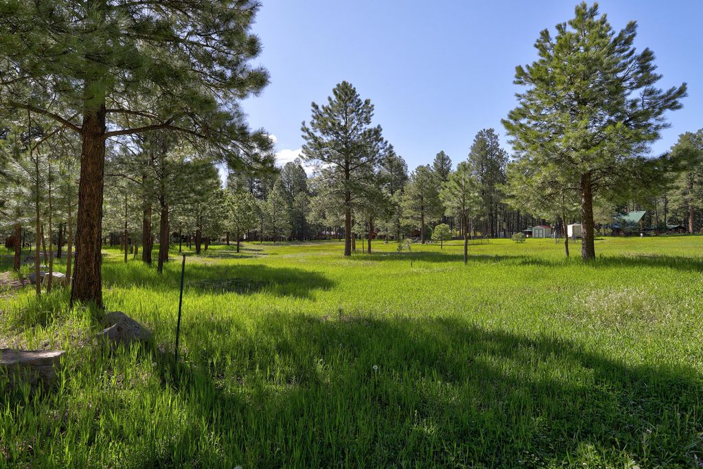 Image 44 of property listing at 328 Blue Spruce Drive, Jemez Springs, NM 87025