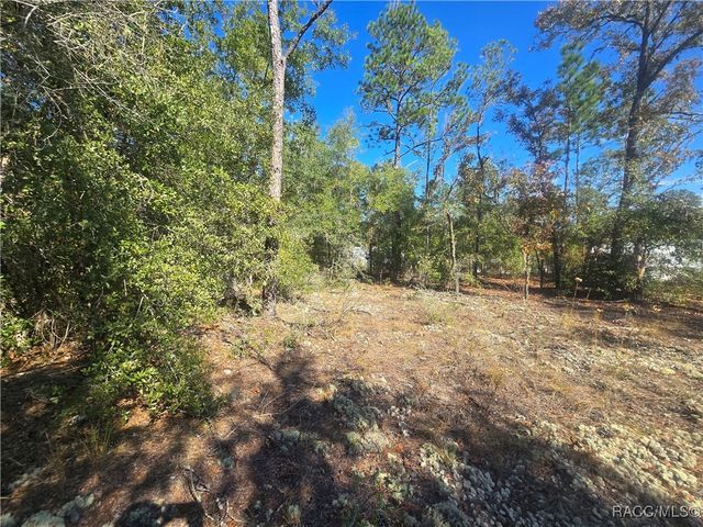 11136 N Vesta Point, Dunnellon, FL 34434