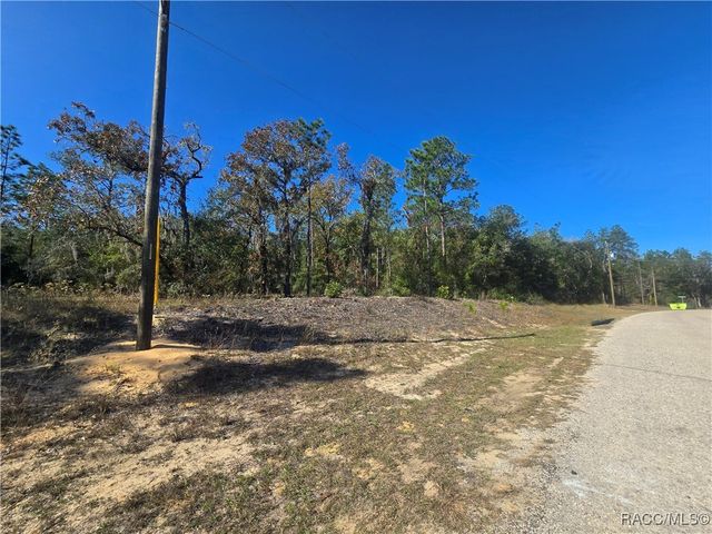 11136 N Vesta Point, Dunnellon, FL 34434