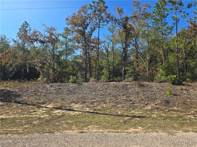 11136 N Vesta Point, Dunnellon, FL 34434