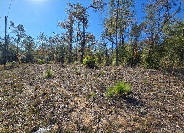 11136 N Vesta Point, Dunnellon, FL 34434