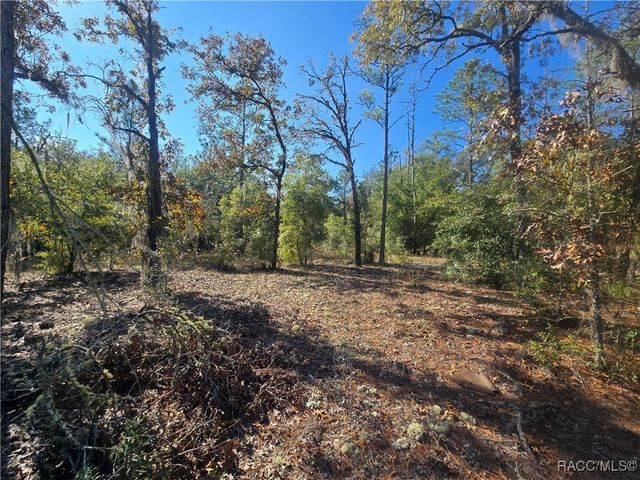 11136 N Vesta Point, Dunnellon, FL 34434