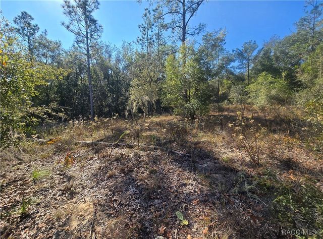 11136 N Vesta Point, Dunnellon, FL 34434