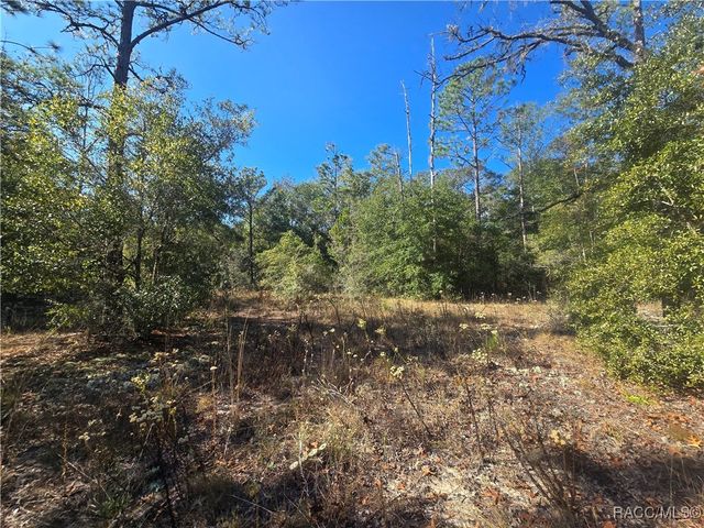 11136 N Vesta Point, Dunnellon, FL 34434