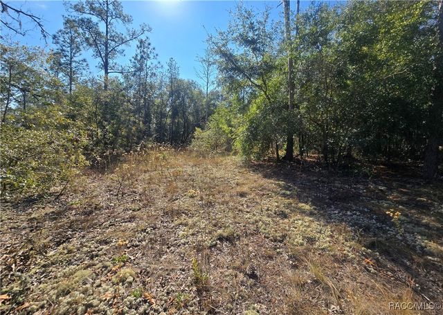 11136 N Vesta Point, Dunnellon, FL 34434