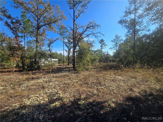 11136 N Vesta Point, Dunnellon, FL 34434