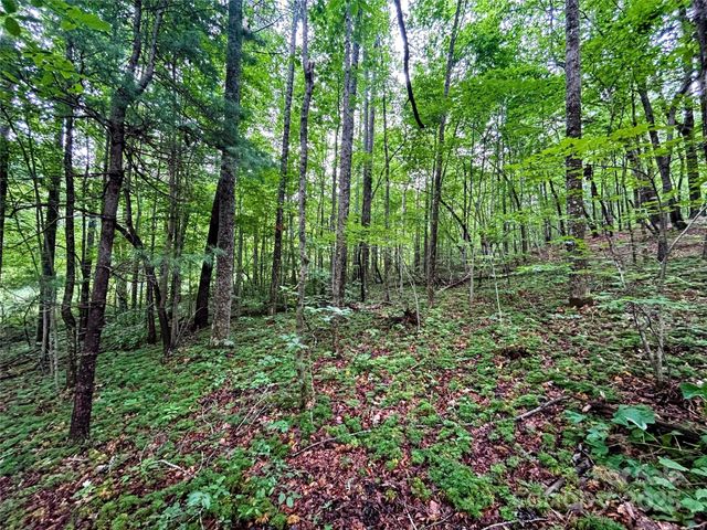 Lot 3 Azalea Way, Saluda, NC 28773