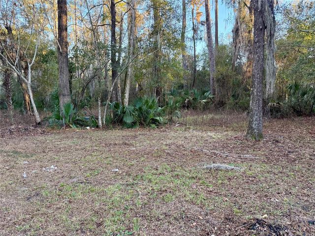 11190 NW 193RD STREET, Micanopy, FL 32667